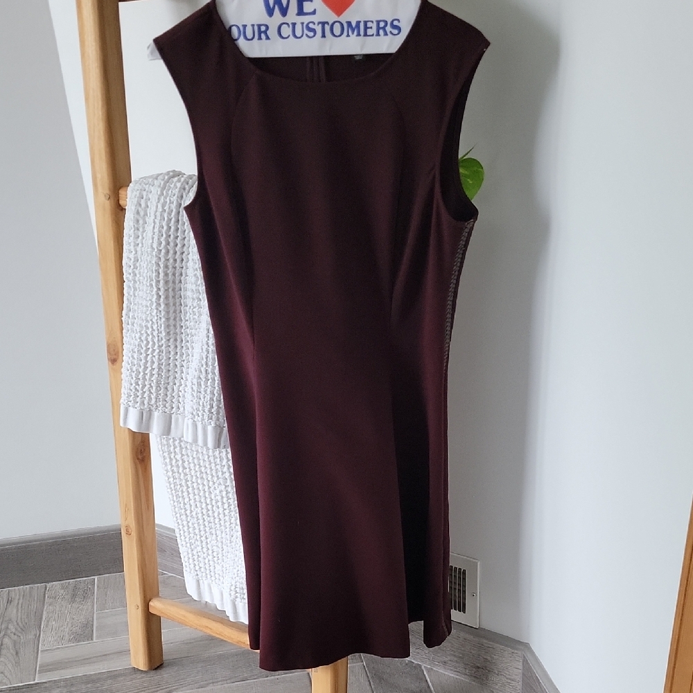 Ann Taylor Elegant Sleeveless Burgundy Dress